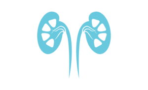 Urinary Conditions
