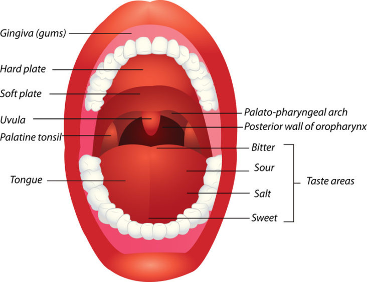 Can you swallow your tongue? – Family Naturopathic Clinic